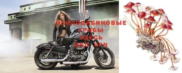 mix Богданович